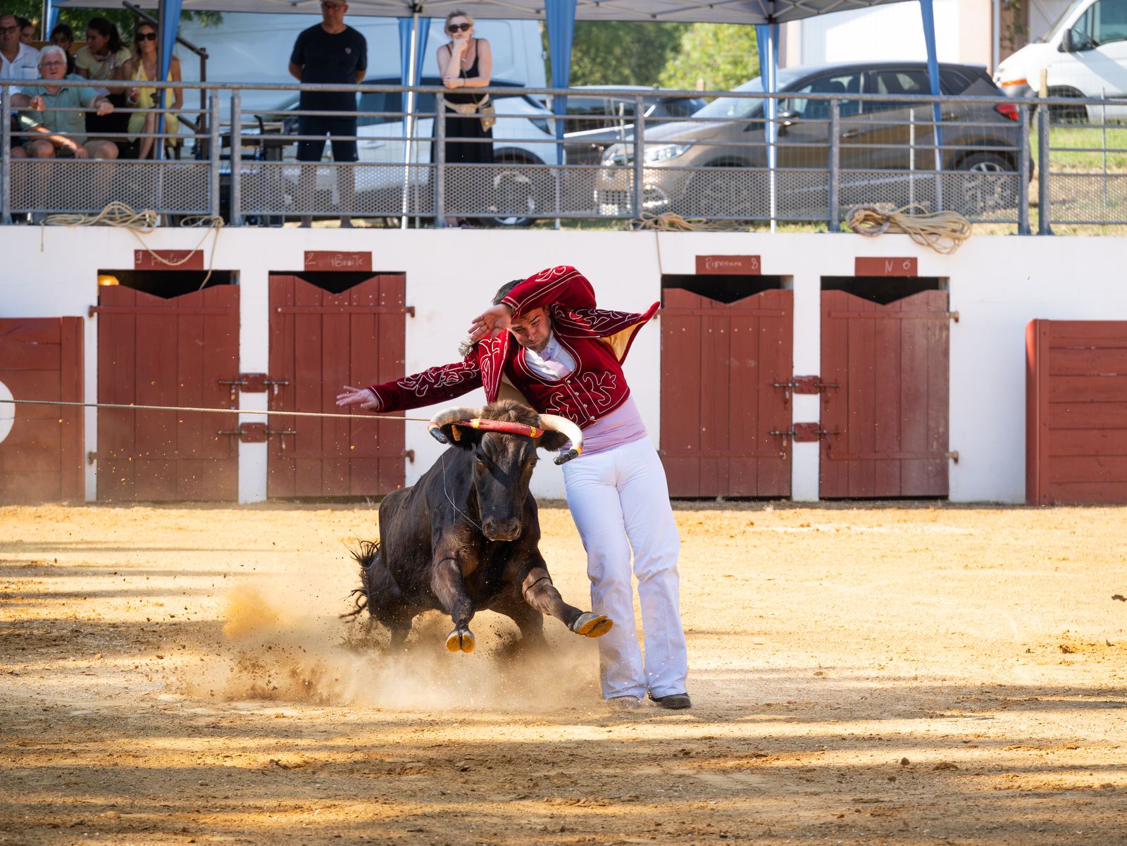 Reportage photo pour Ganaderia Dargelos